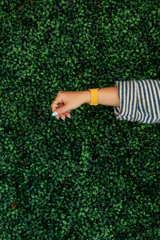 Marigold Magnetic Loop Watch Band