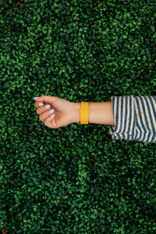 Marigold Magnetic Loop Watch Band