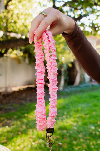 Back to School Extended Lanyards