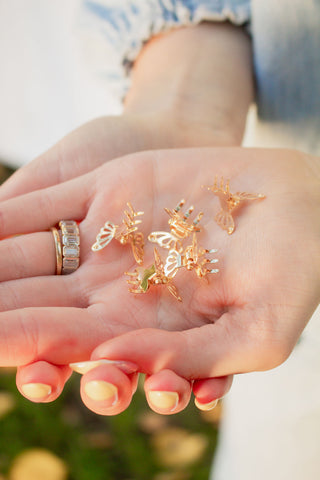Mariposa Clips 5-Pack