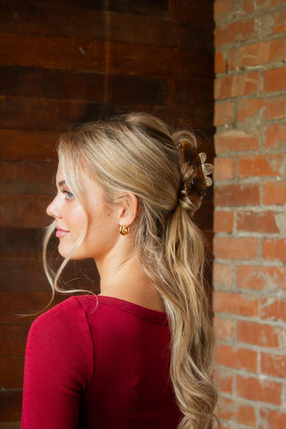 Sheer Arch Claw Clip