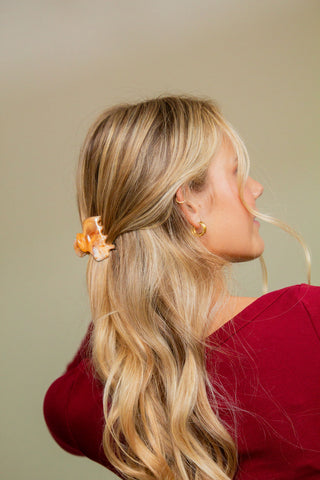 Pumpkin Pie Mini Claw Clip