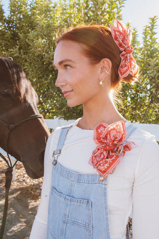 Paisley Reverie Claw Clip
