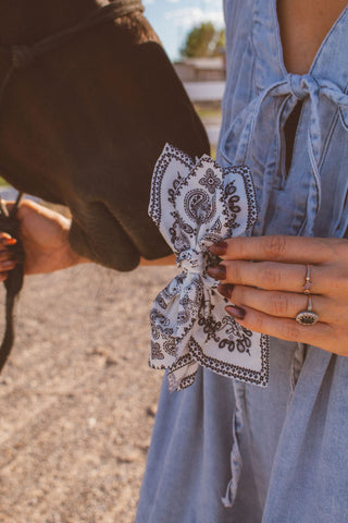 Paisley Reverie Claw Clip