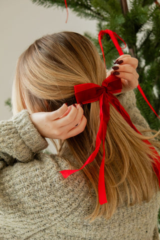 Chiffon + Velvet Bow