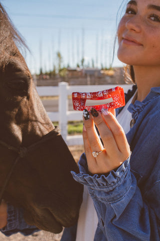 Howdy Darlin' Rectangle Claw Clip