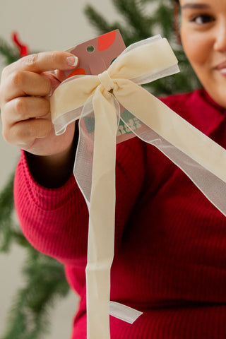 Chiffon + Velvet Bow