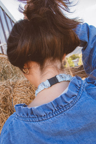 Western Breakaway Lanyards
