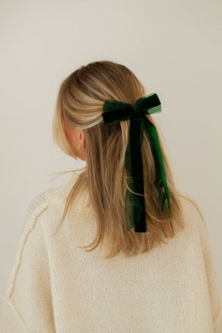 Chiffon + Velvet Bow