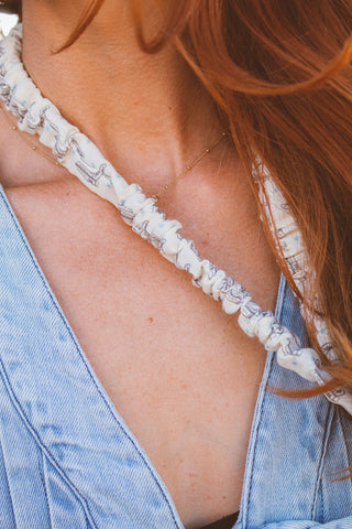 Western Breakaway Lanyards
