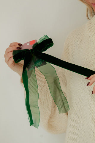 Chiffon + Velvet Bow