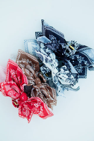 Paisley Reverie Claw Clip