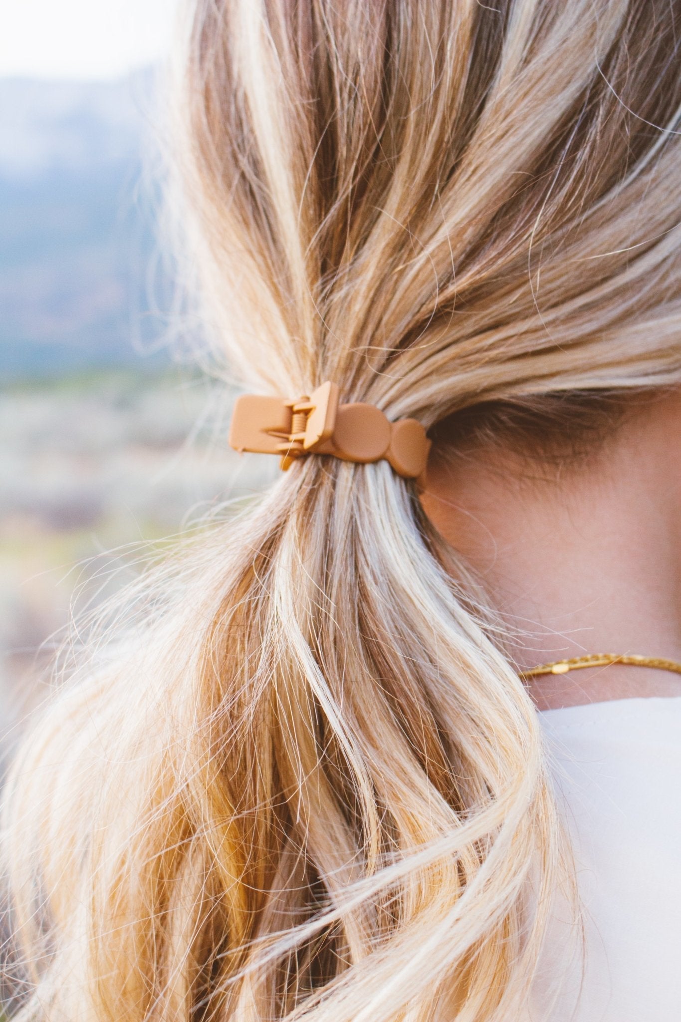 Ponytail clip shop